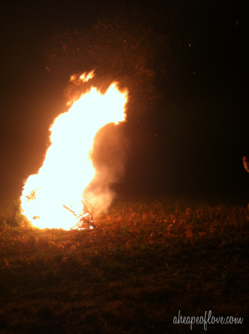 burning-trees