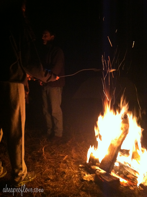 roasting-marshmallows