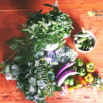 farm to table, box 12